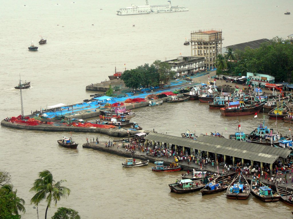 Sudhir Munganriwar Sasoon Dock