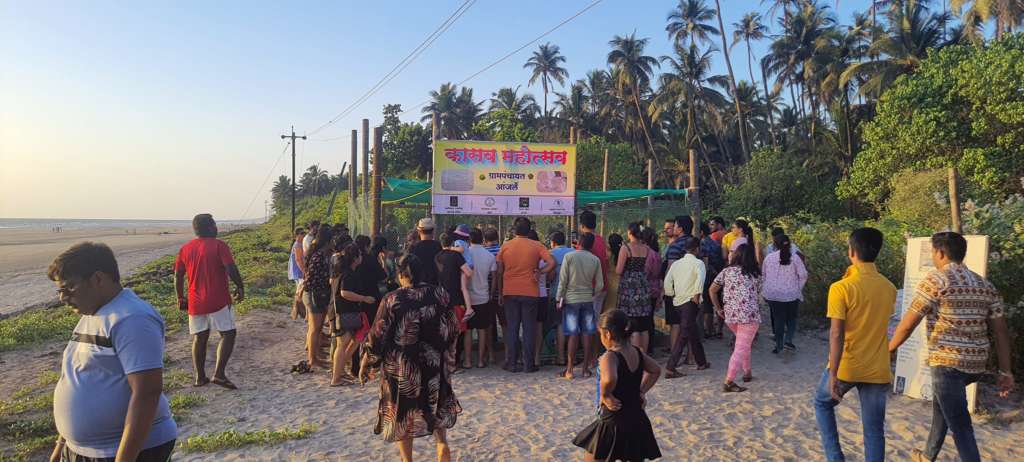 turtle festival anjarle