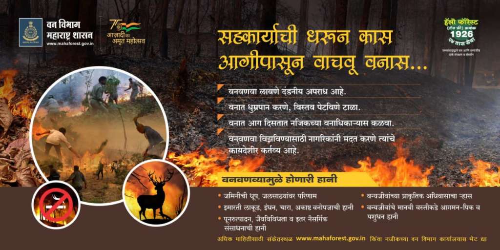 Forest Fire Maharashtra Forest