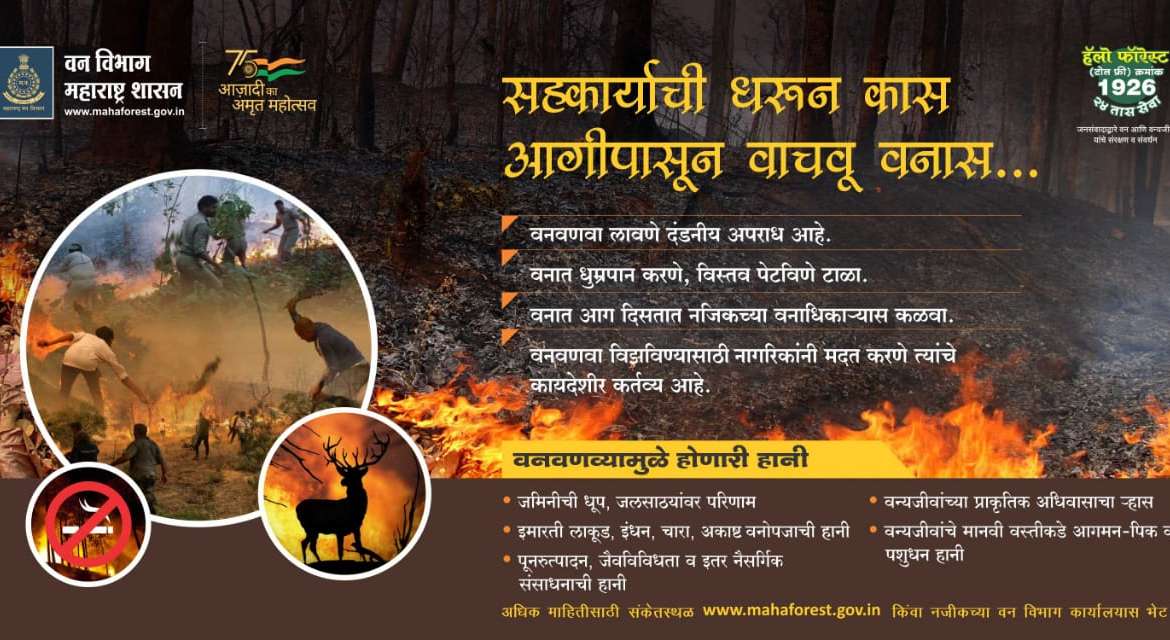 ऋतु वणव्यांचा Forest Fire