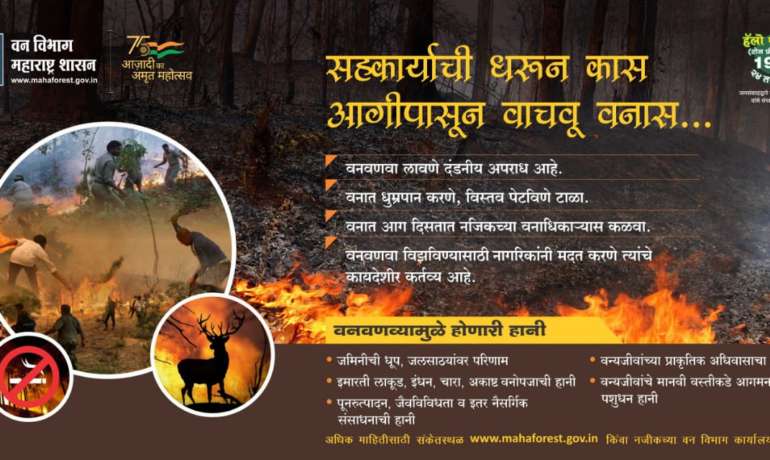 ऋतु वणव्यांचा Forest Fire