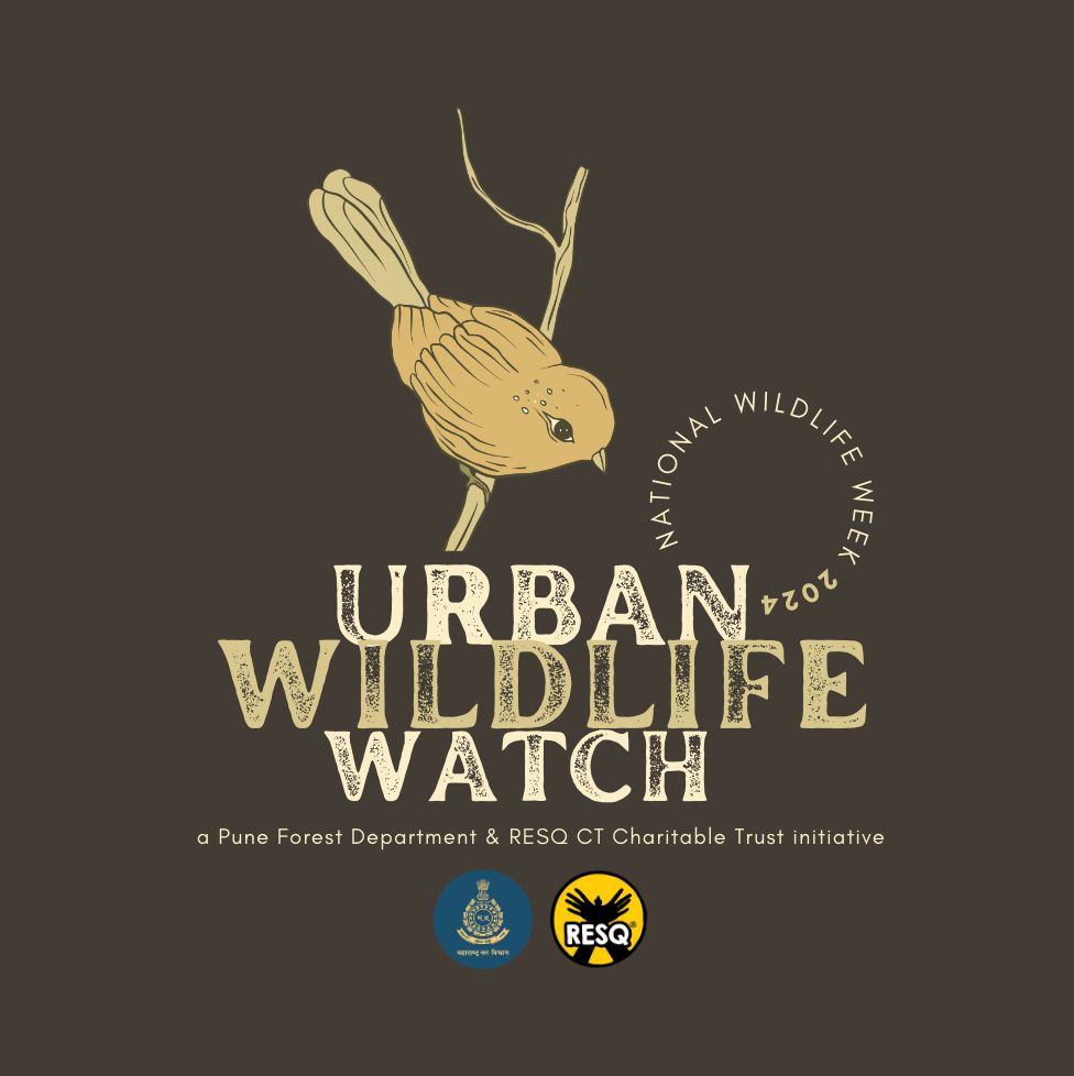 Urban Wildlife Patrol ResQ