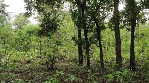 कचरा द्या अन् बक्षीस घेऊन जा…. Kiran Purandare Pitezari Village