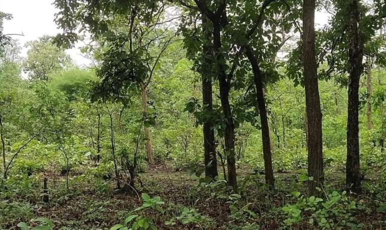 कचरा द्या अन् बक्षीस घेऊन जा…. Kiran Purandare Pitezari Village