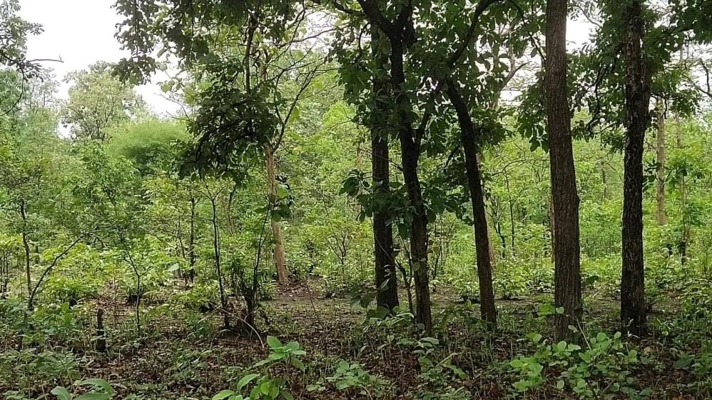 कचरा द्या अन् बक्षीस घेऊन जा…. Kiran Purandare Pitezari Village