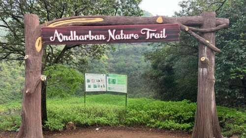 अंधारबन नेचर ट्रेल बंद   Andharban Nature Trail Closed