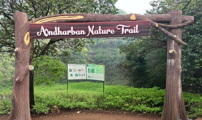 अंधारबन नेचर ट्रेल बंद   Andharban Nature Trail Closed