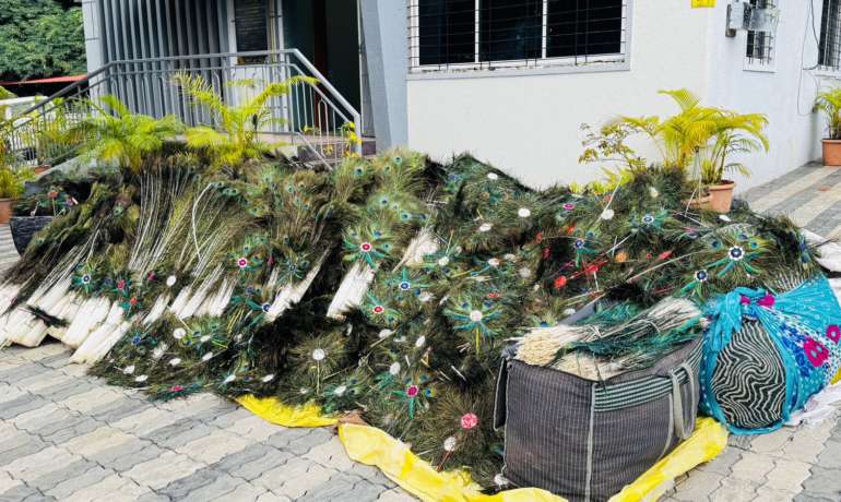 साडे चारशे किलो मोरपिसांची तस्करी  Illegally Traded Peacock Feather