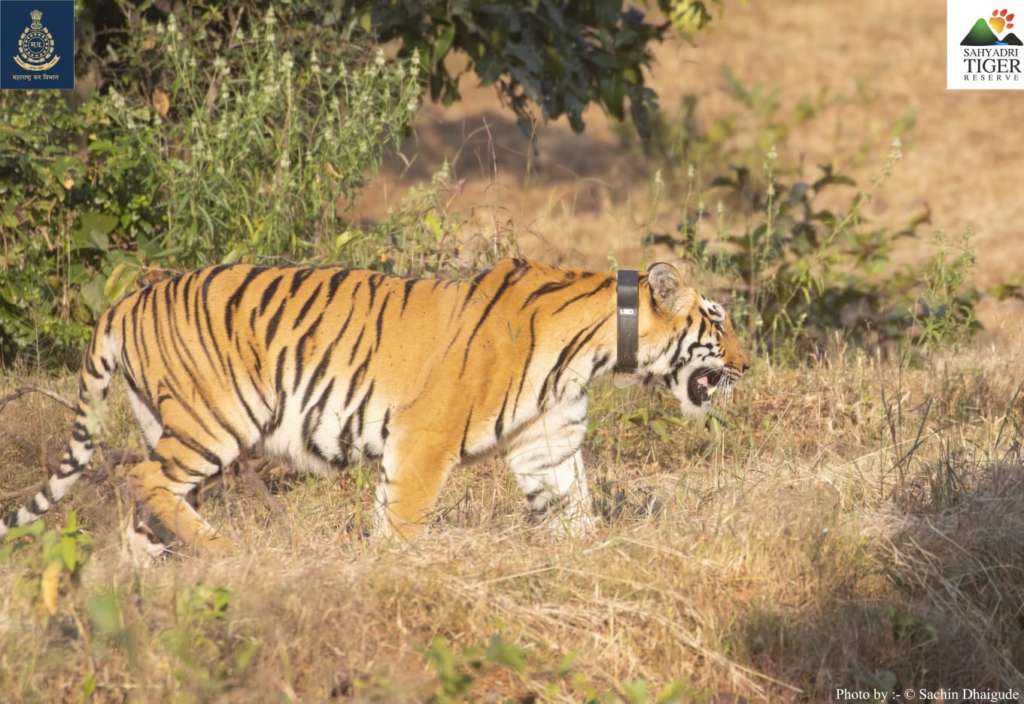 Operation Tara STR T04