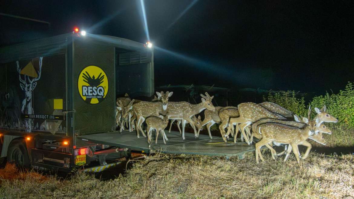 वैज्ञानिक वन्यजीव व्यवस्थापनासाठी महत्त्वपूर्ण करार STR ResQ CT MOU
