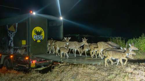 वैज्ञानिक वन्यजीव व्यवस्थापनासाठी महत्त्वपूर्ण करार STR ResQ CT MOU