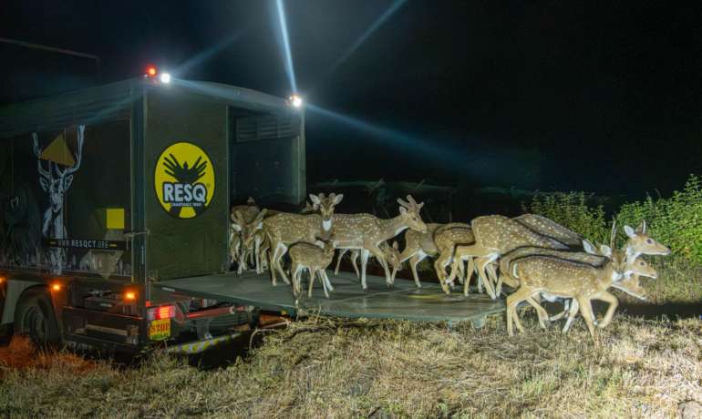 वैज्ञानिक वन्यजीव व्यवस्थापनासाठी महत्त्वपूर्ण करार STR ResQ CT MOU