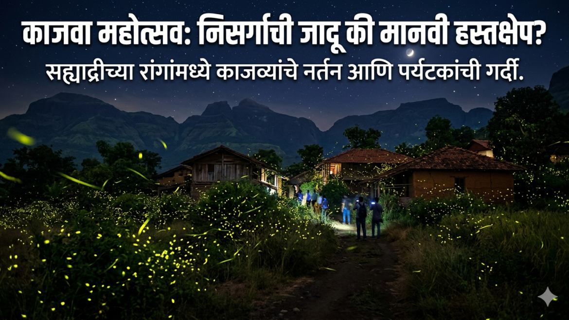 ‘अतिरेकी पर्यटना’ मुळे लुकलुकणारे जीव धोक्यात Firefly Festival