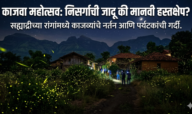 ‘अतिरेकी पर्यटना’ मुळे लुकलुकणारे जीव धोक्यात Firefly Festival