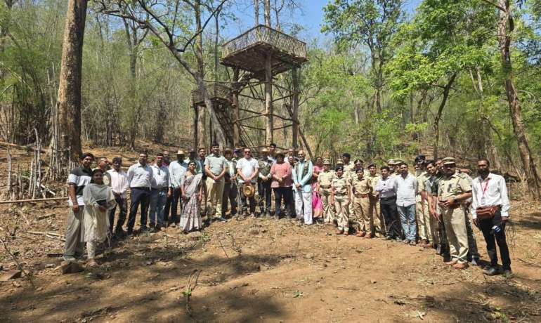नवेगाव-नागझिराच्या ‘माधवझरी’ प्रवेशद्वारावरून जंगल सफारी व निसर्ग पायवाट सुरू!  Navegaon Nagzira Tiger Reserve